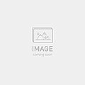 2025 SPECIALIZED LEVO SL COMP ALLOY UL BIKE - S2, CLGRY/ASHGRY/DUNEWHT