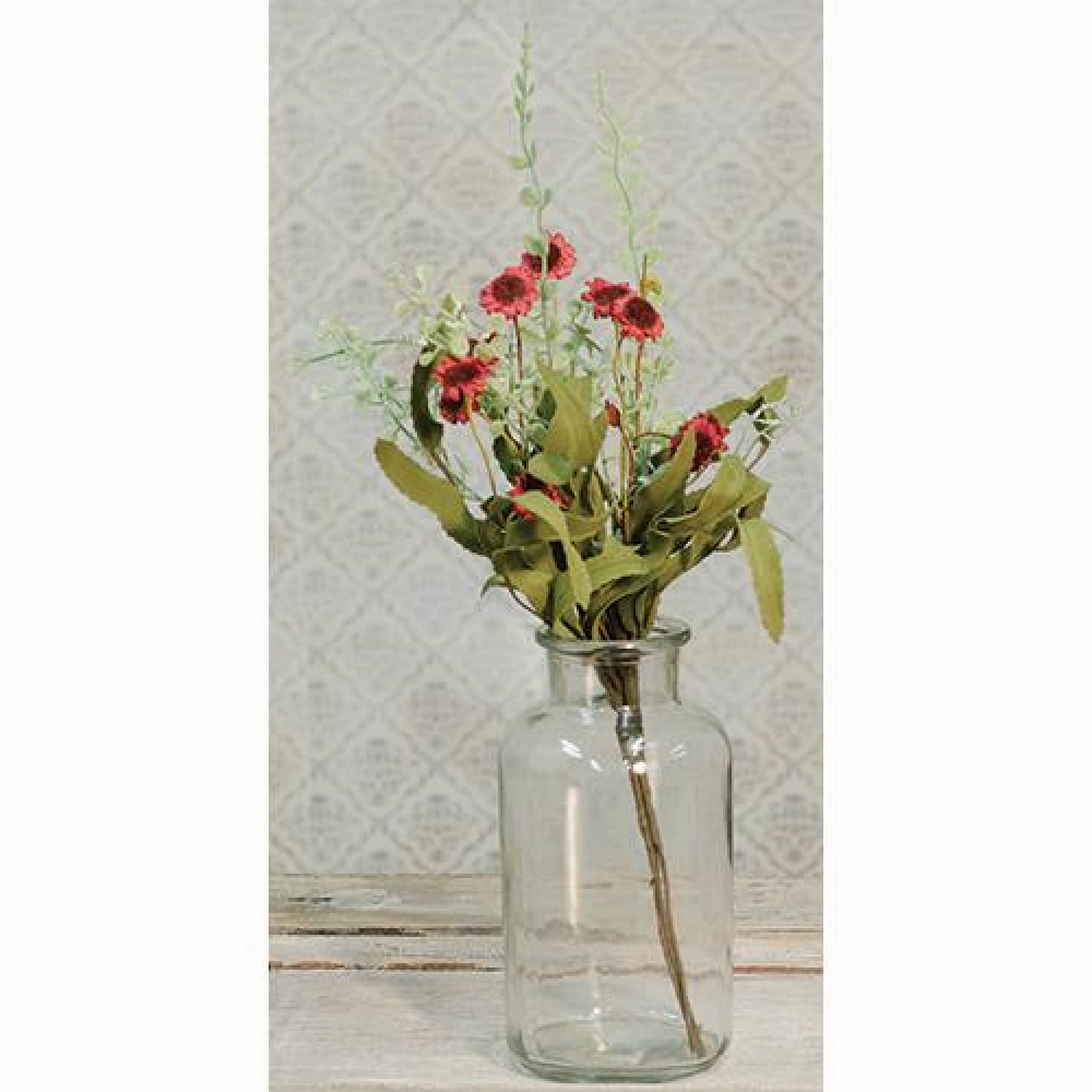 *Bird's Eye Daisy Bush Burgundy 18"