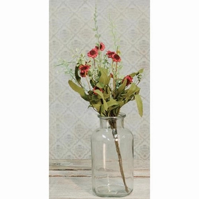 *Bird's Eye Daisy Bush Burgundy 18"