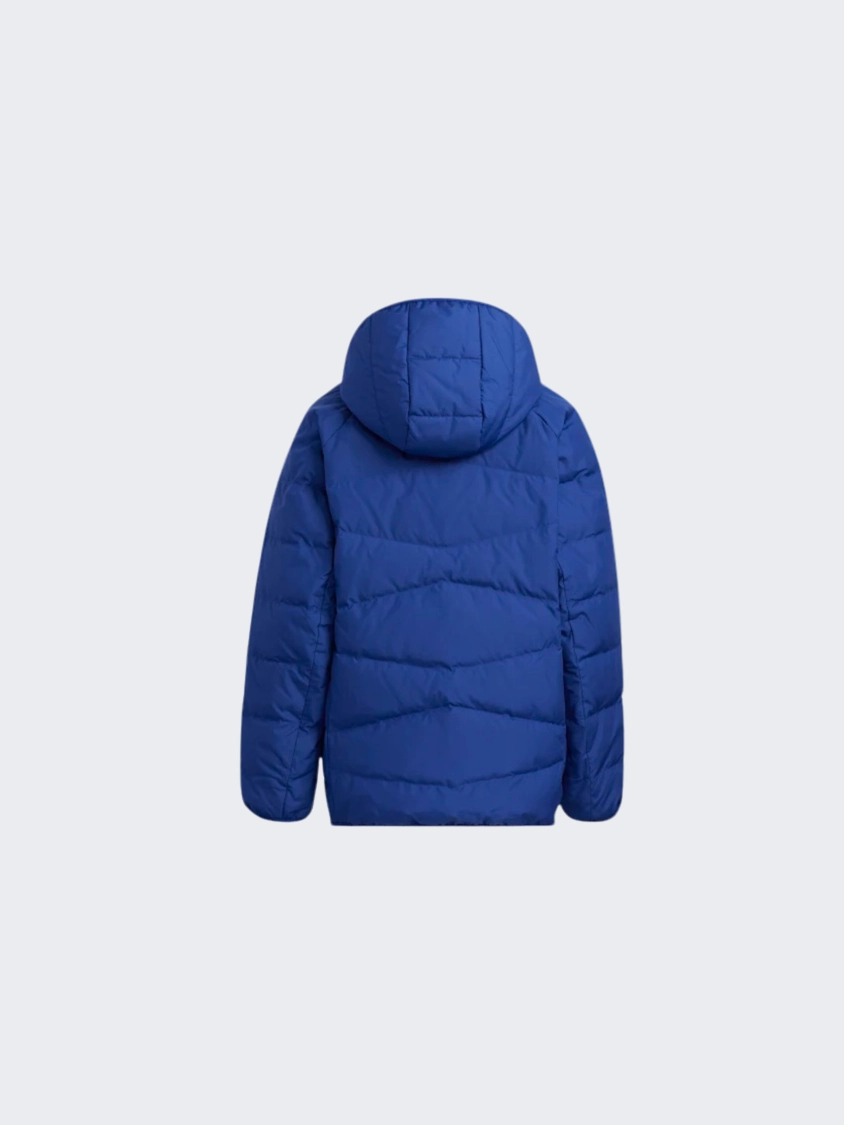 Adidas Froosy Ps-Boys Training Jacket  Blue