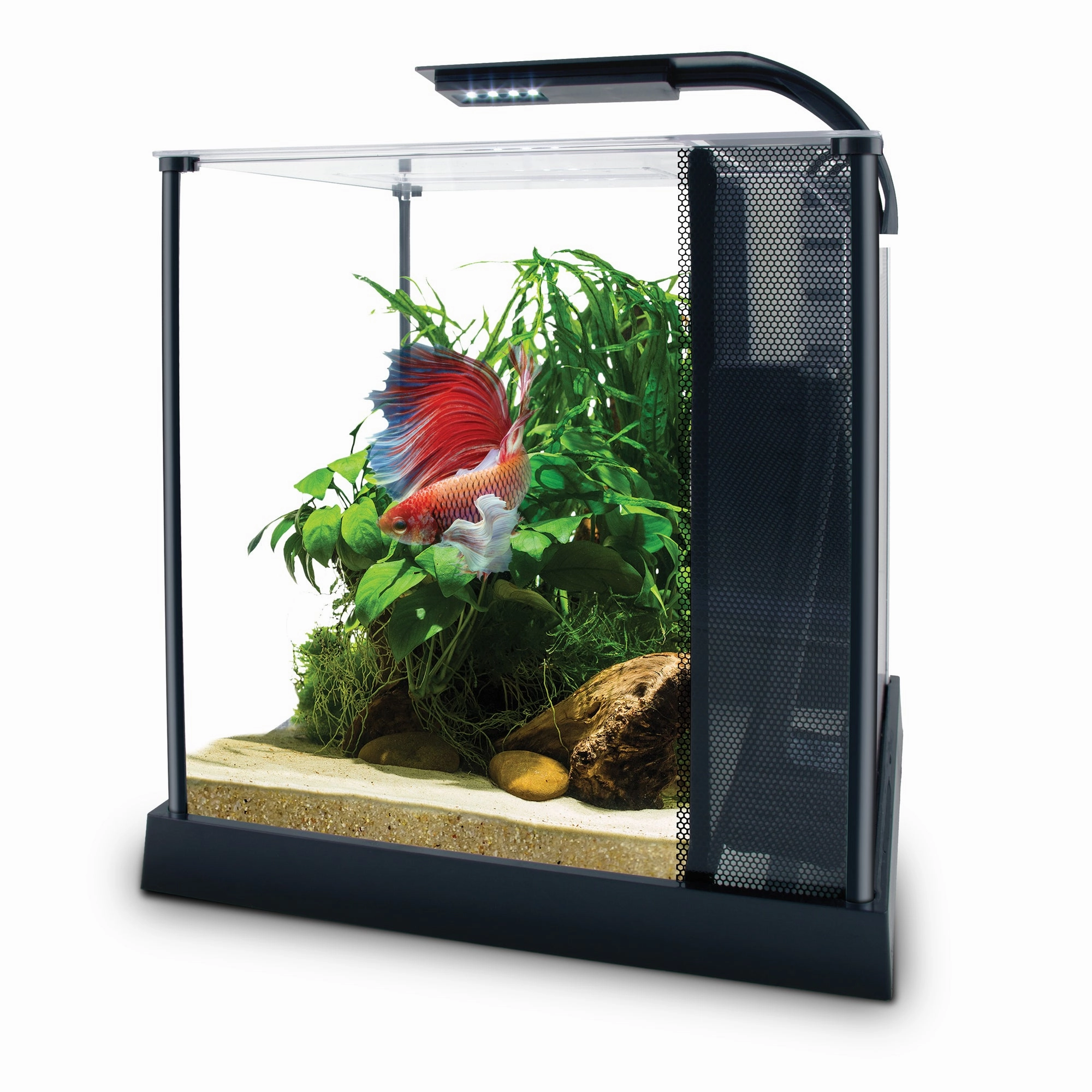 Fluval Betta Kit 2.6 Gallon