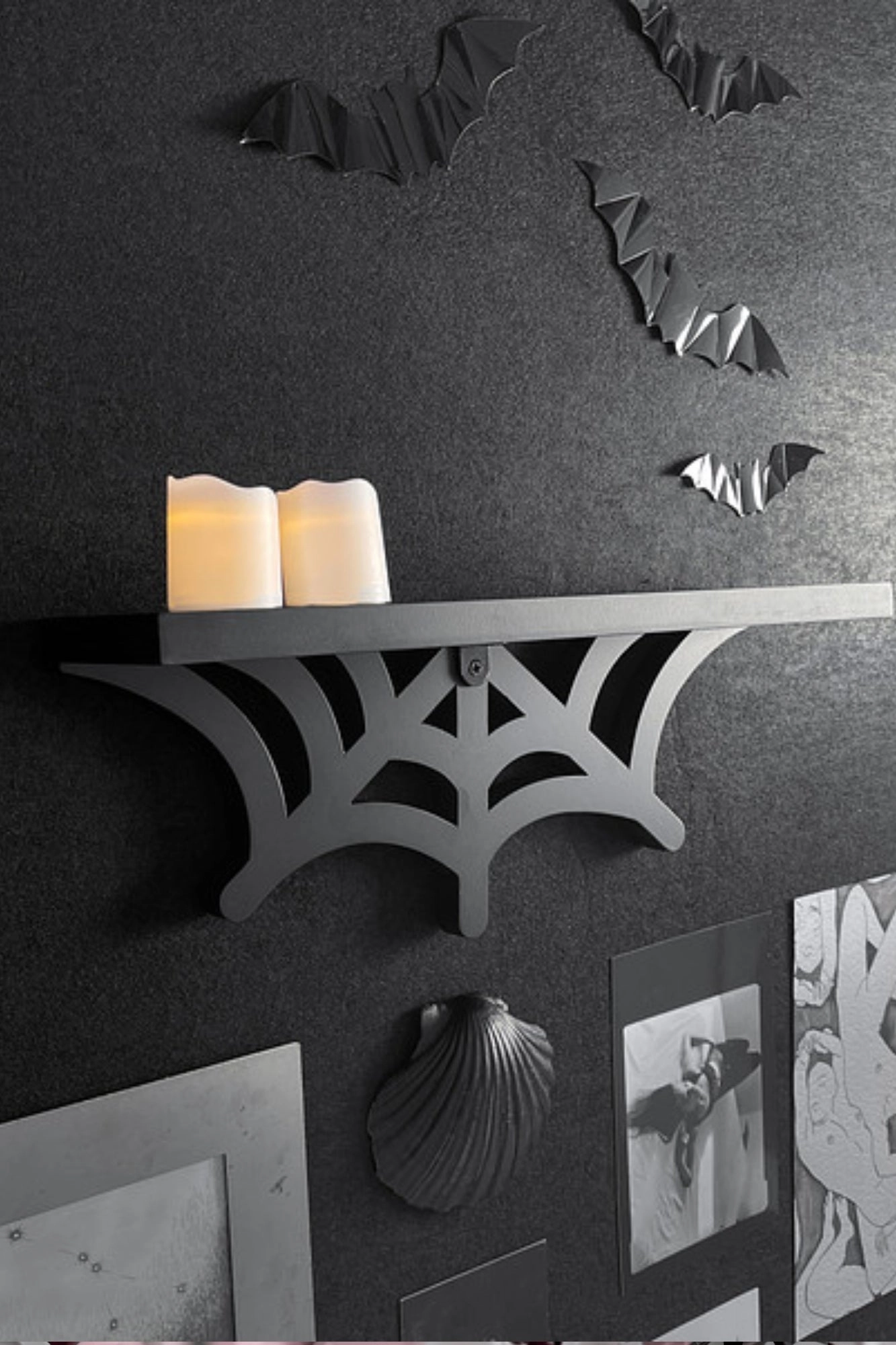 Web Display Shelf