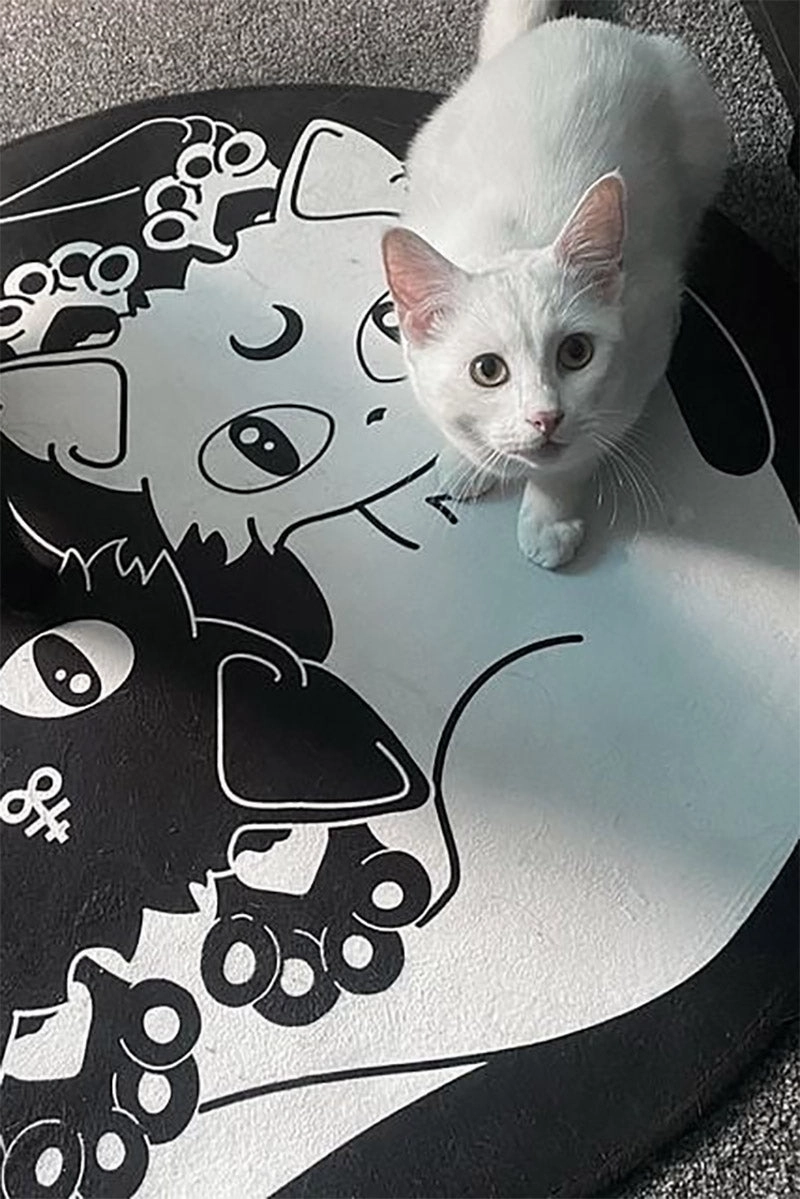 Yin Yang Area Rug